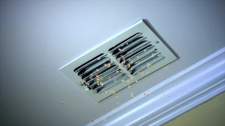 Best HVAC Air Duct Cleaning  in Town Creek, AL