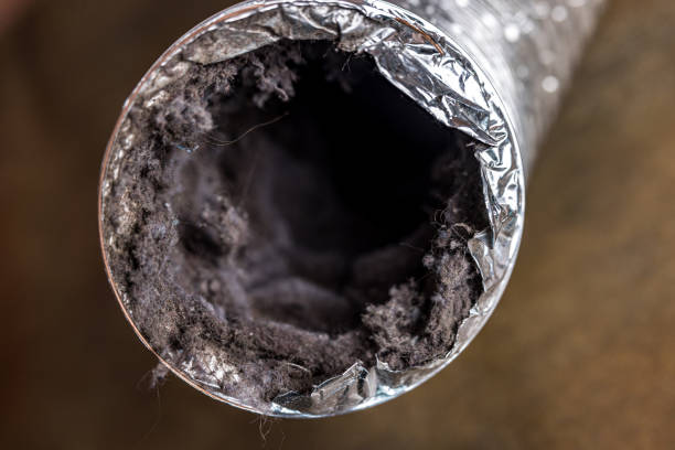 Best Affordable HVAC Duct Cleaning  in Town Creek, AL