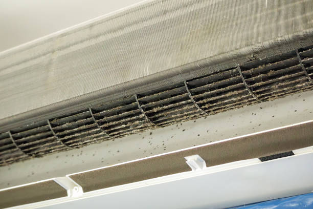 Best Best Air Duct Cleaning Company  in Town Creek, AL